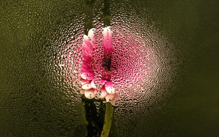 Laboratorio teatrale adulti Salerno Ablativo-Liberaimago