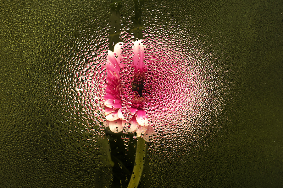 Laboratorio teatrale adulti Salerno Ablativo-Liberaimago